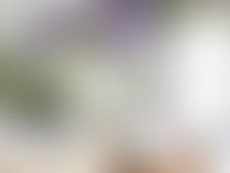 A Brief Guide to Planning a Wake