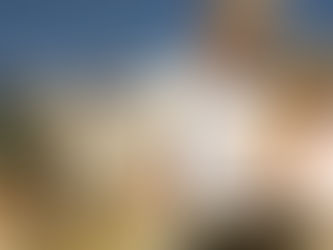 What to Look for When Buying a Home