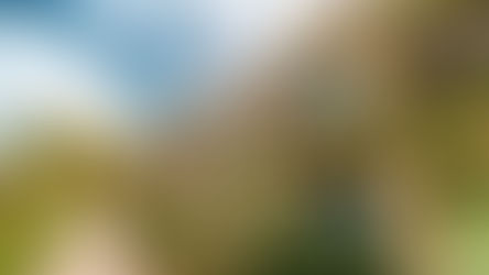 When Is a RICS Level 3 Survey Essential for Period Homes?