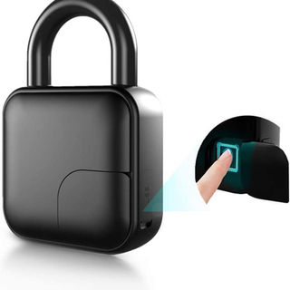 FingerprintPadlock.jpg