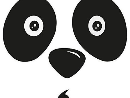What is Google Panda?