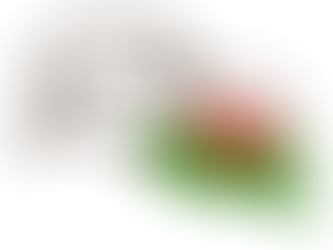 Translation services