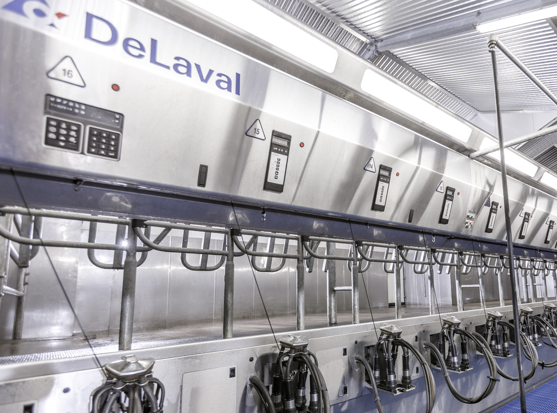 Milking Machine and Dairy Service and Installation / Delaval