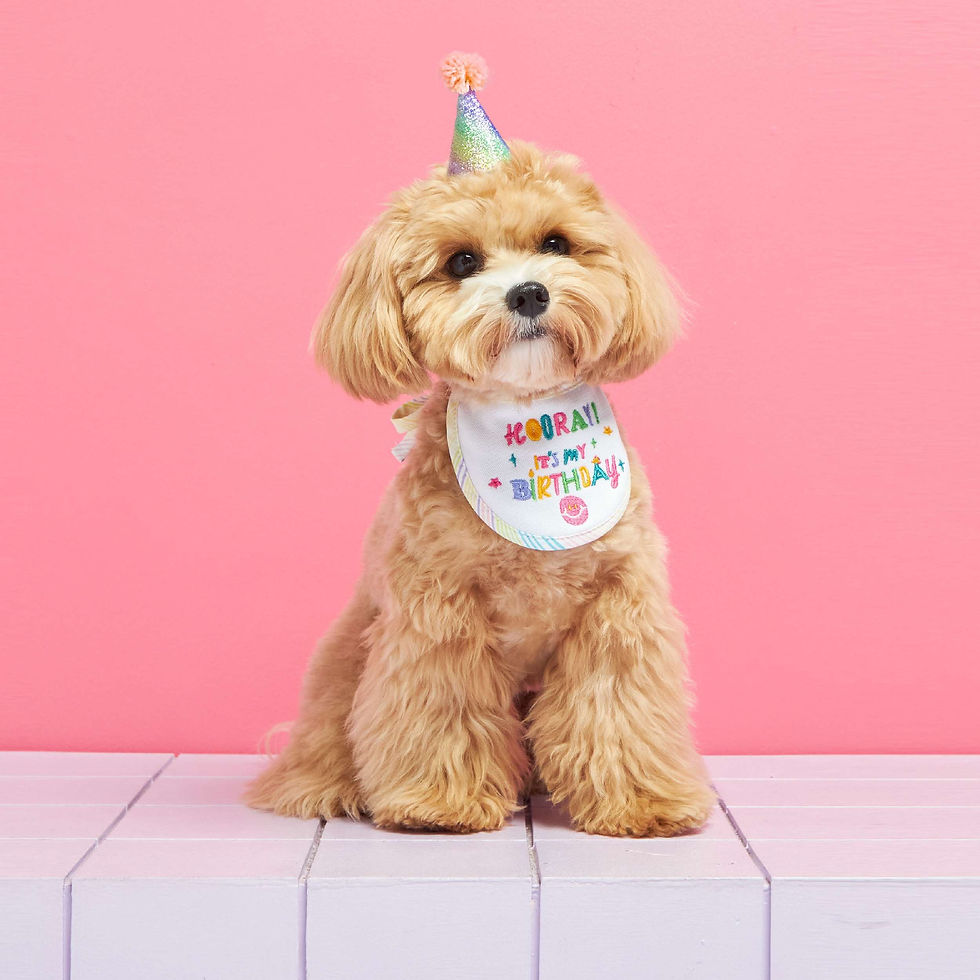 Thumbnail: Doggu Hooray It's My Birthday  Bib