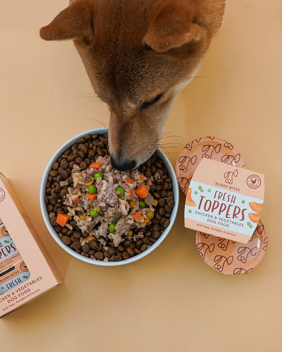 Thumbnail: Buddy Bites Chicken and Vegetables Toppers