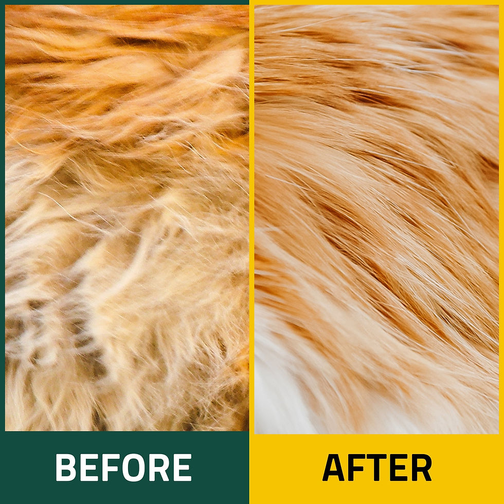Thumbnail: Breezytail Mist Sensitive for Cats 150ml