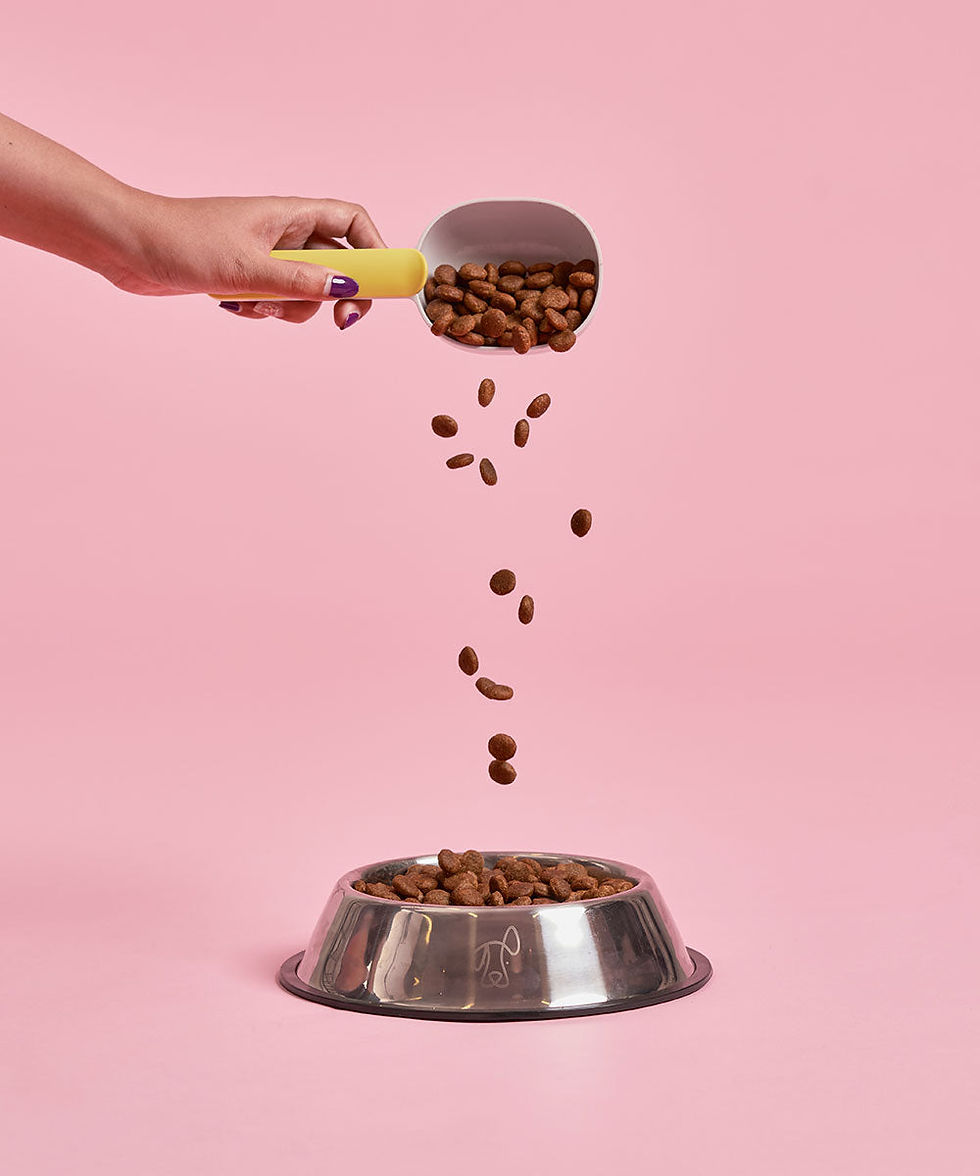 Thumbnail: Buddy Bites Sweet Potato and SalmonAdult Kibbles
