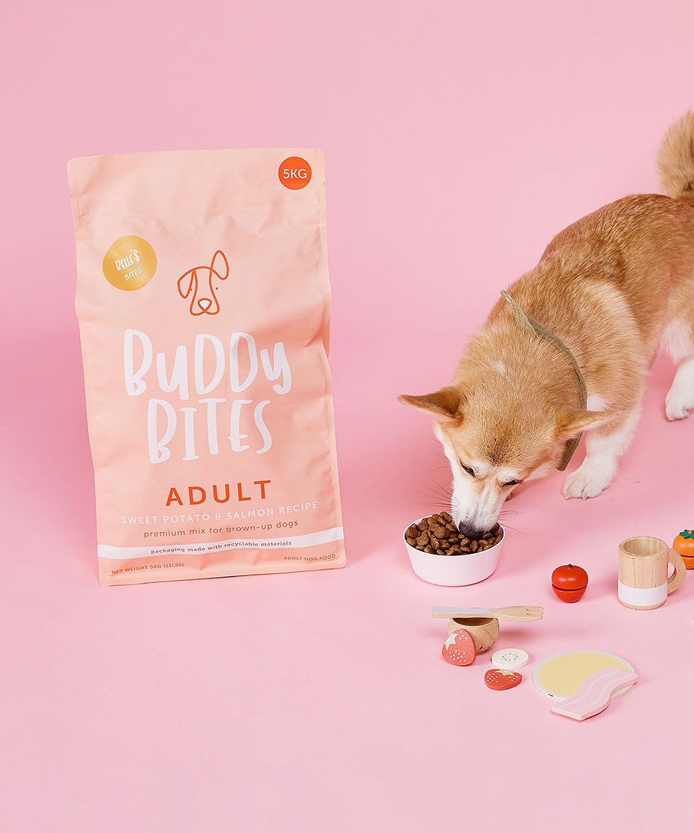 Thumbnail: Buddy Bites Sweet Potato and SalmonAdult Kibbles