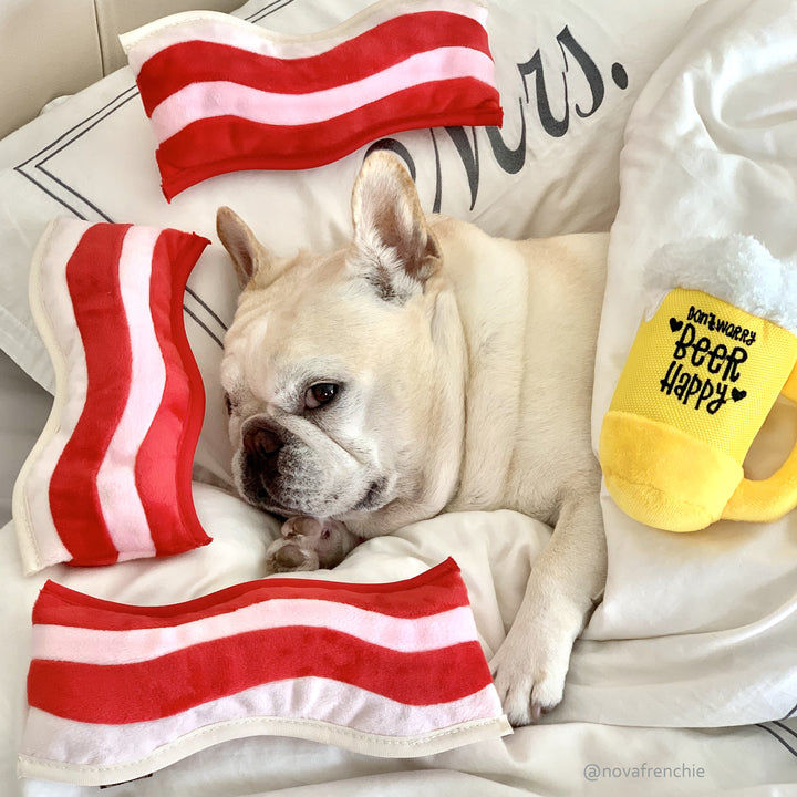 Thumbnail: Pet PLAY Bacon