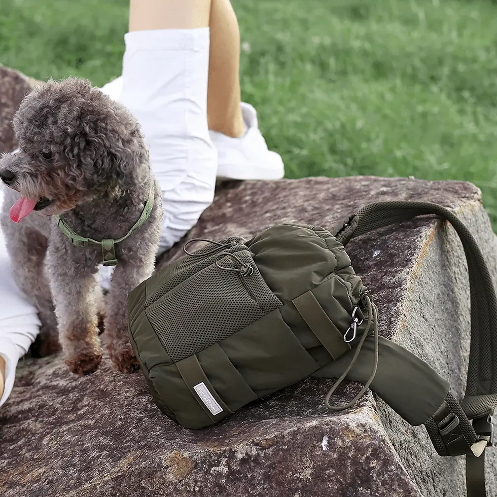 Thumbnail: Everyday Dog Walking Bag