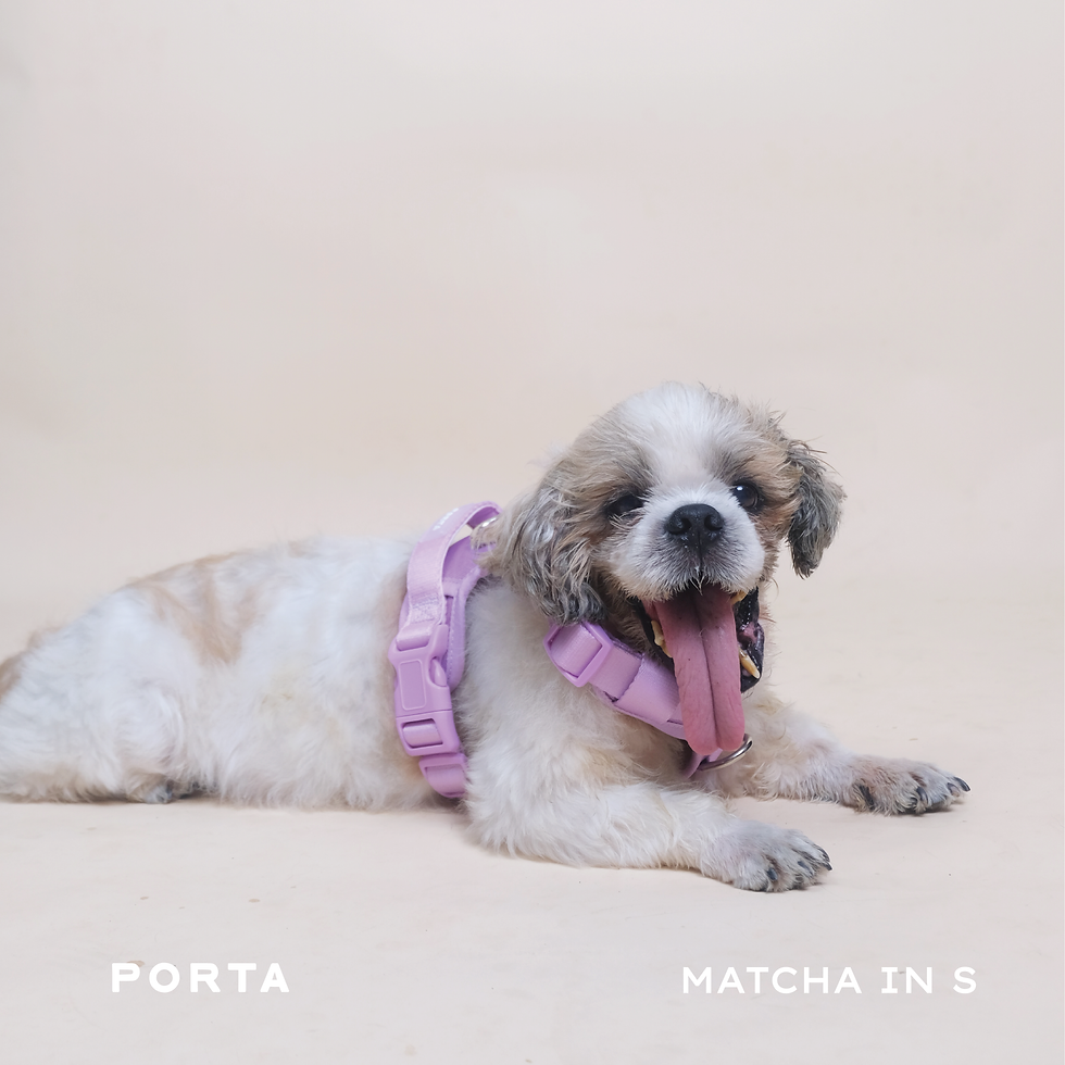 Thumbnail: Porta Everyday Essentials Walk Set | Peach Fuzz
