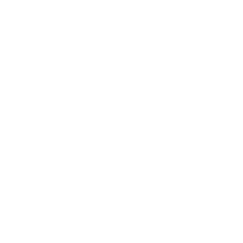 logo social brots blanco.png