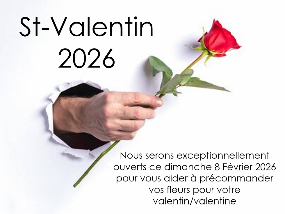 St-Valentin 2026