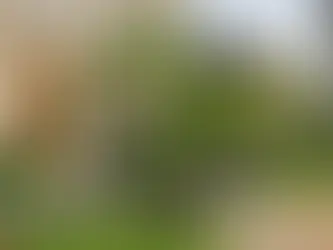 Best Pubs Between Bristol and Bath (Perfect for Walks & Sunday Lunch)