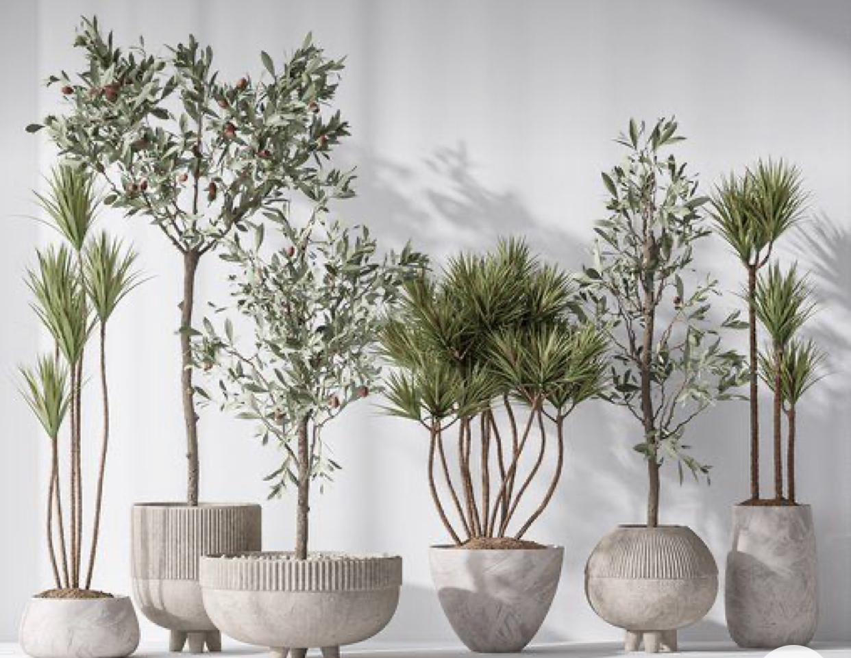 Foto del escritor: Pepper-Plants