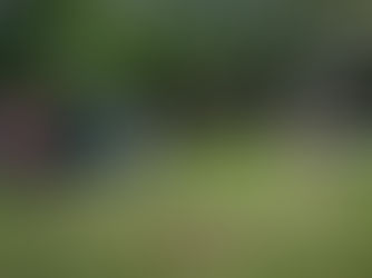 STAGE FRISBEE AVEC YANNICK TOULON