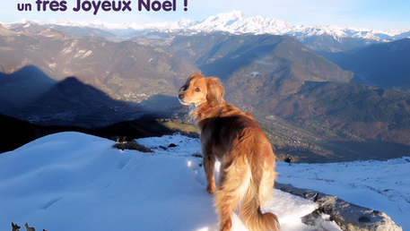 Joyeux Noël !!
