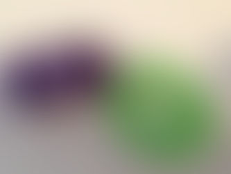 Stage Clicker Training Cynthia Edelman