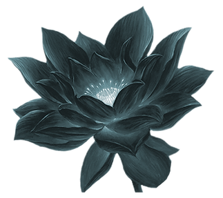 Homepage_Lotus.png
