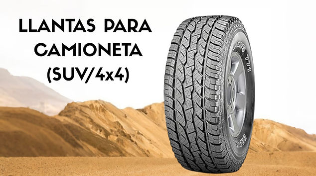 Imagen de WhatsApp 2025-05-28 a las 15.08.31_05f8a772.jpg