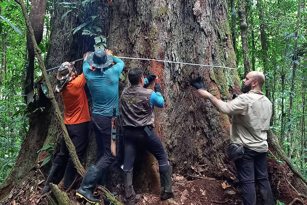 ecoturismo no pará