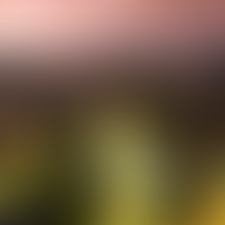 Belém desponta como o destino que mais cresceu em buscas de plataforma de viagens; confira o top 10