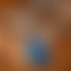 Creating a Travel Christmas Tree: A Holiday Tradition to Relive Your Adventures