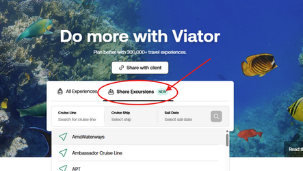 🛳️ NEW! Viator Tool Makes Booking Shore Excursions So Much Easier