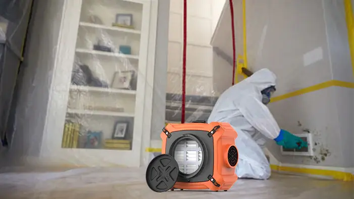HEPA_Air_Scrubber_for_Molds.jpg.webp