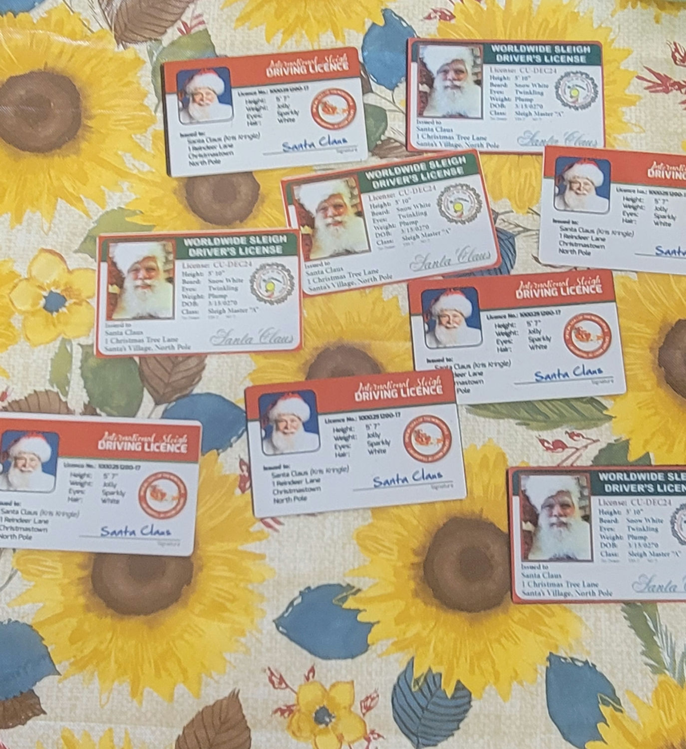 Santa Licenses