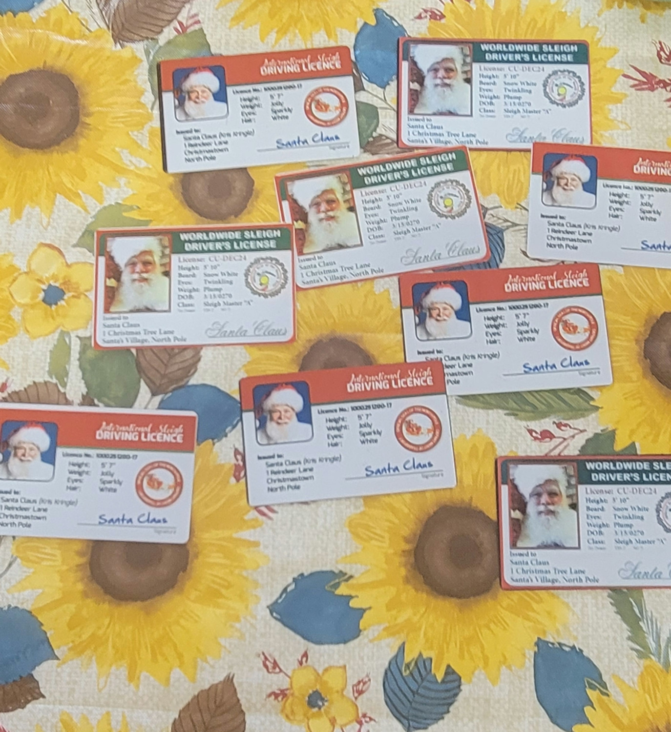 Santa Licenses 