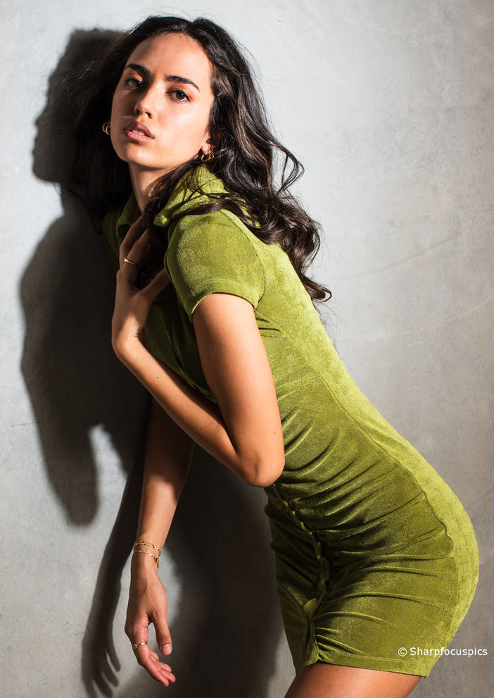 Sunshine Coast Queensland, Queensland model, Brisbane model, New Zealand model