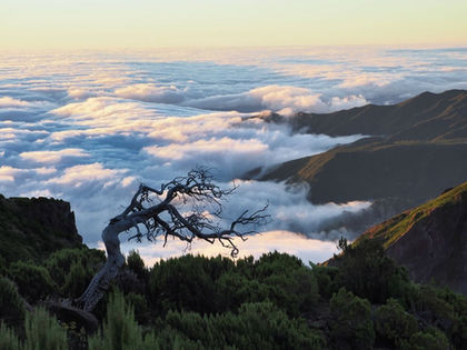  Madeira