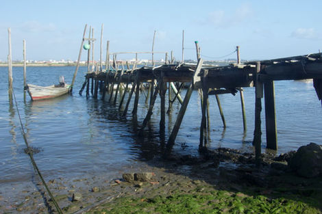 Delapidated pier on Boco river