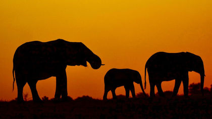 Botswana