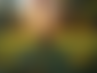 Why Mental Health Is Essential to Overall Health