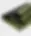 la rane.webp