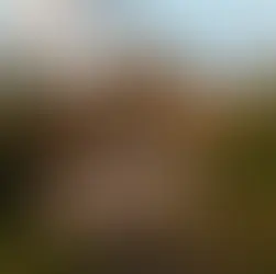 5 hotell i Mexiko du inte får missa