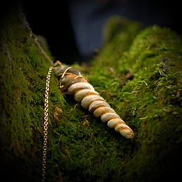 Necklace On Moss2_edited.jpg