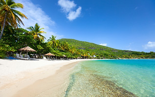 Tropical Beach Paradise