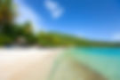 Tropical Island