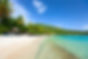 Tropical Island