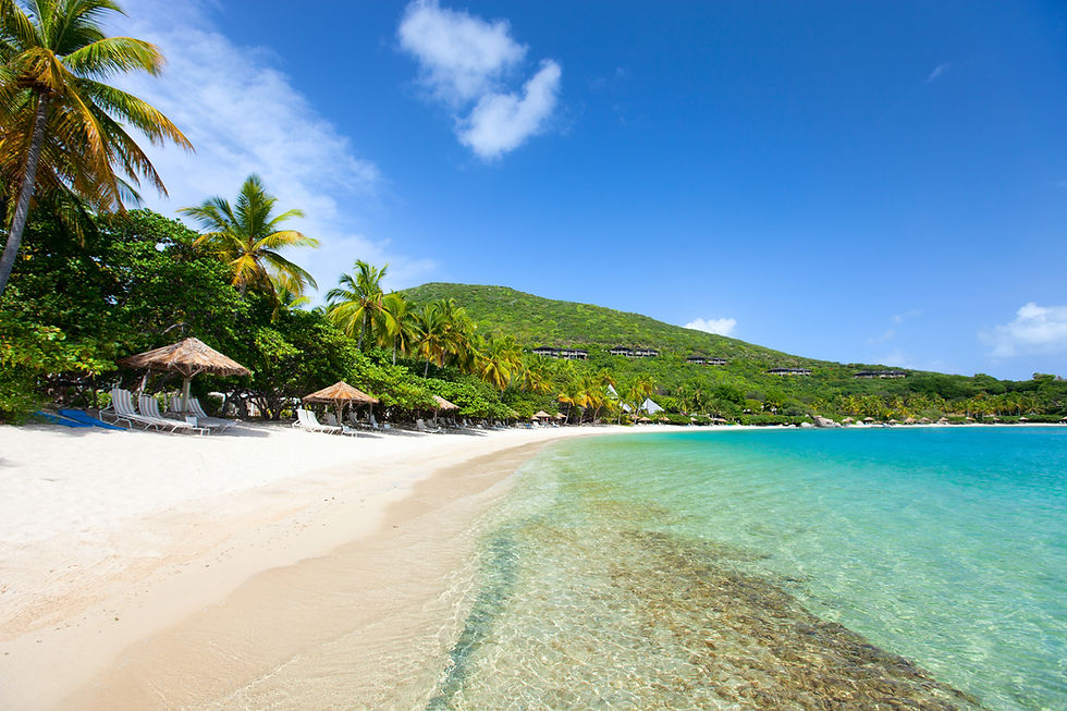 Tropical Beach Paradise