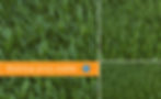 sketchup-v-ray-proxy-grass-preview1.jpg