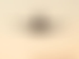 A plane flying in the sky