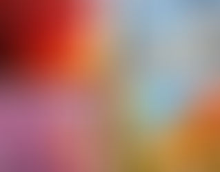 A collage of trees in the different weather seasons.