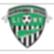 Farmingdale Soccer Club