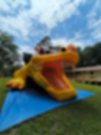 dragon2