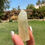 Thumbnail: Golden Rutile Quartz #R9 | Rutile Inclusion Quartz Crystal from Brazil