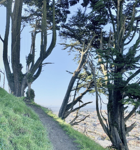 Golden Gate Heights Park, San Francisco, CA